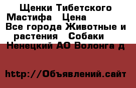 Щенки Тибетского Мастифа › Цена ­ 90 000 - Все города Животные и растения » Собаки   . Ненецкий АО,Волонга д.